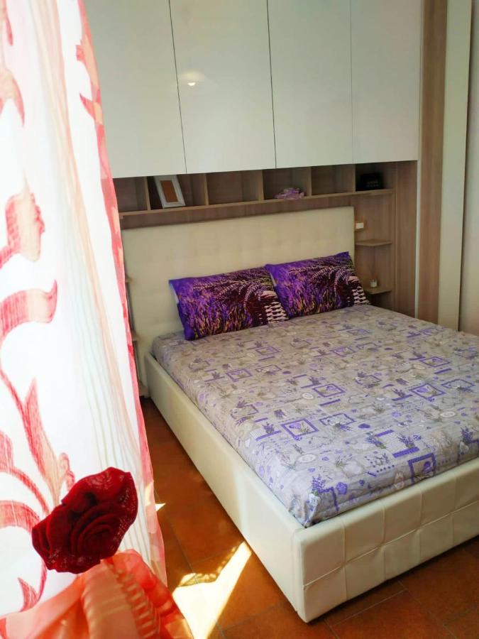 Mini Suite Pisa Dış mekan fotoğraf